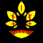 MayuCVA