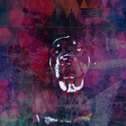 EamonHayden
