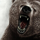 Bearhunt705