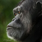 HollieGPhotos