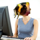 Kuhli