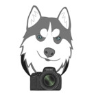 SmirkDog-Photo