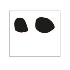 Mikash