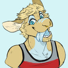 deerdragons