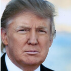 yourtrumpshop