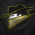 gothamrogue14