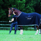DressageDreams