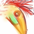 Nikerdoodle