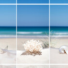 islandreflectns