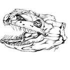 ObsterLobster