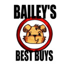 BaileysBestBuys