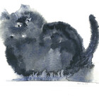 ShamelessCats