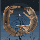 SagebrushCoyote