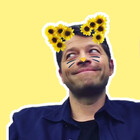 Casitstoobig