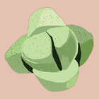 RockPlant