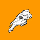 hypercavallo