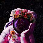 artbynoha