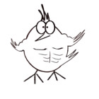 vodanet