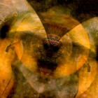 Yoshimiah