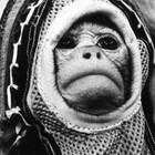 deepspacemonkey