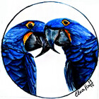 BlueParrotss