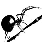 TuuliTuule