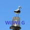 WilWil-G