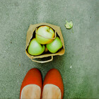 missapple