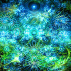 DiscordDreams