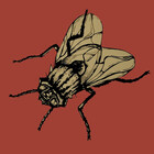 Airliemari