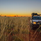 Toddy4x4