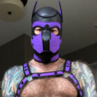 Puppy0501