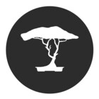 QuasaiBonsai
