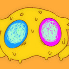 taody