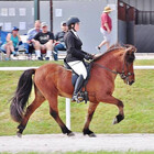 sarahlefebvre