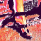 VenusVisions