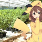 phriendlybear
