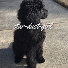 star-dust-girl