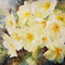 Ruth S Harris