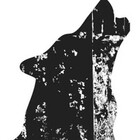 mdntdesign