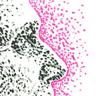 JennyAnyDots