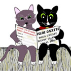 2smartcats