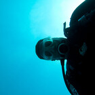 fatfishphoto