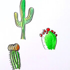 PricklyPearfect