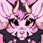 koneko-xo