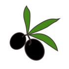 blackoliveshop
