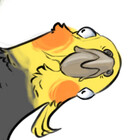 dubmutt