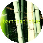 Bamboe