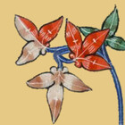 RedJasmine