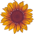JournalMaBelle